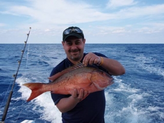 tipos de peces